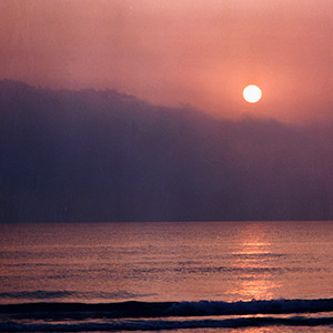 Blog